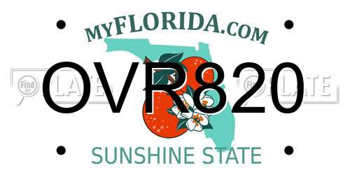 OVR820 Florida License Plate