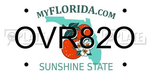 OVR82O Florida License Plate