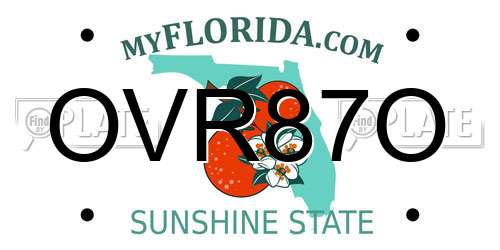 OVR87O Florida License Plate