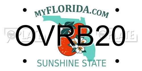 OVRB20 Florida License Plate