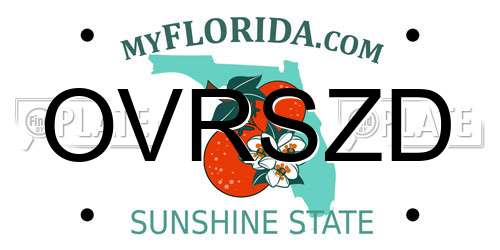 OVRSZD Florida License Plate