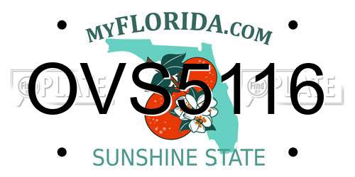 OVS5116 Florida License Plate