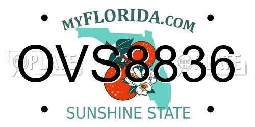 OVS8836 Florida License Plate