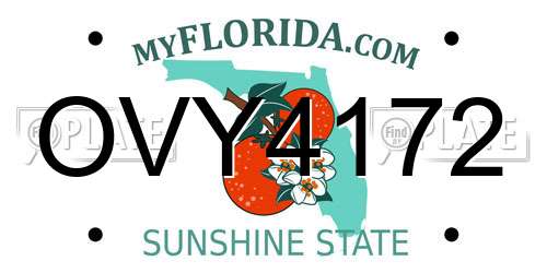 OVY4172 Florida License Plate