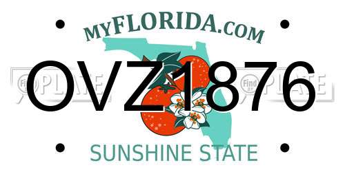 OVZ1876 Florida License Plate