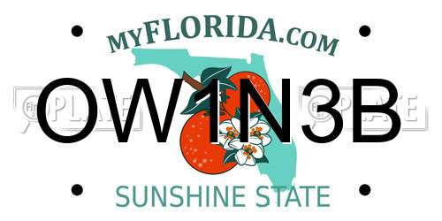 OW1N3B Florida License Plate