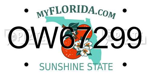 OW67299 Florida License Plate