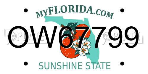 OW67799 Florida License Plate