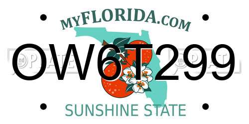 OW6T299 Florida License Plate