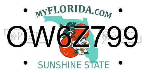 OW6Z799 Florida License Plate