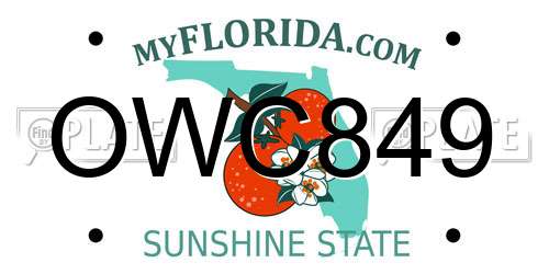 OWC849 Florida License Plate