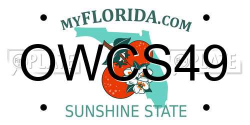 OWCS49 Florida License Plate