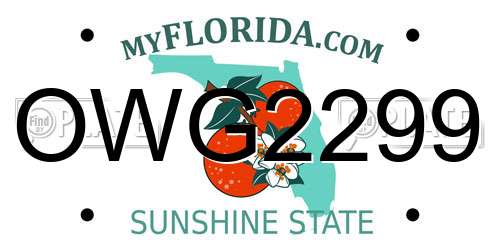 OWG2299 Florida License Plate