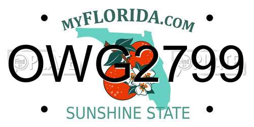 OWG2799 Florida License Plate