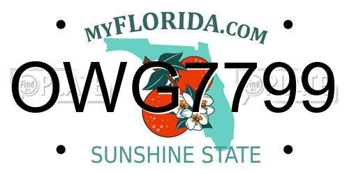 OWG7799 Florida License Plate