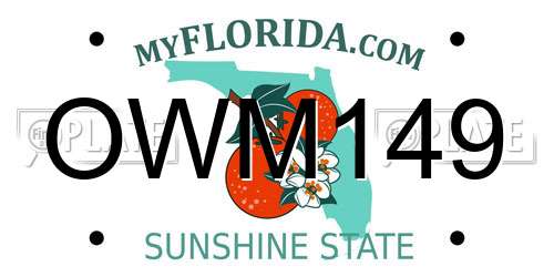OWM149 Florida License Plate
