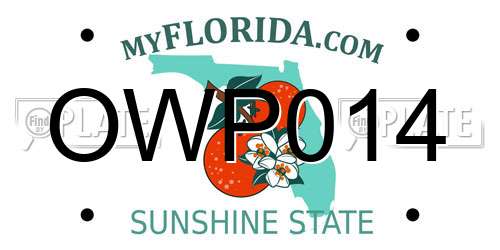 OWP014 Florida License Plate