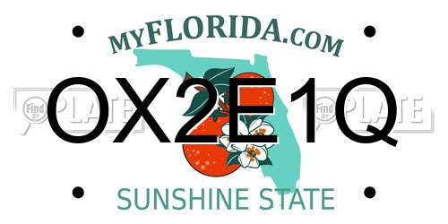 OX2E1Q Florida License Plate