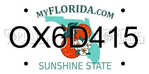 OX6D415 Florida License Plate