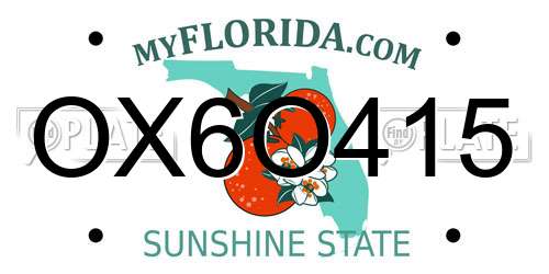 OX6O415 Florida License Plate