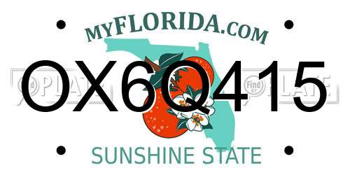 OX6Q415 Florida License Plate