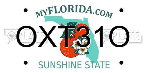 OXT31O Florida License Plate