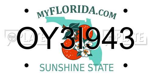 OY3I943 Florida License Plate
