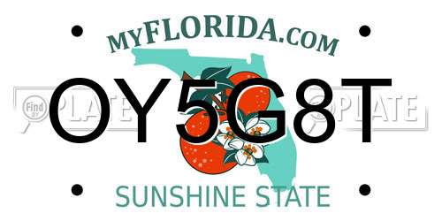 OY5G8T Florida License Plate