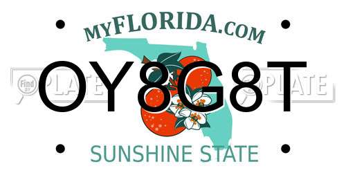 OY8G8T Florida License Plate