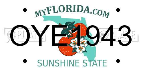 OYE1943 Florida License Plate