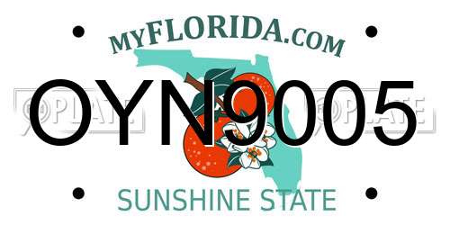 OYN9005 Florida License Plate