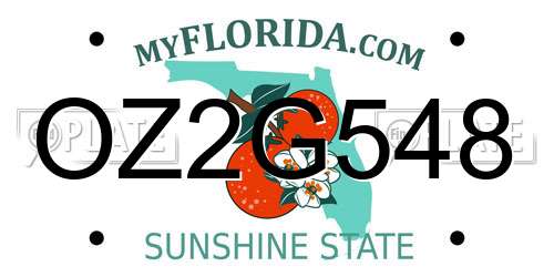 OZ2G548 Florida License Plate