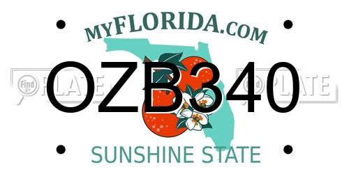 OZB340 Florida License Plate