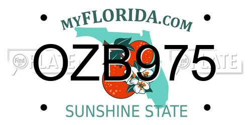 OZB975 Florida License Plate