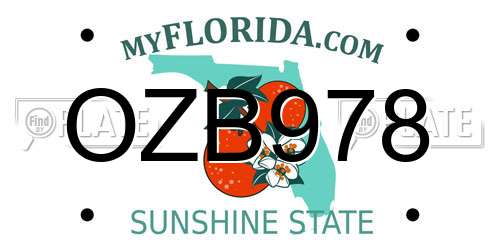 OZB978 Florida License Plate