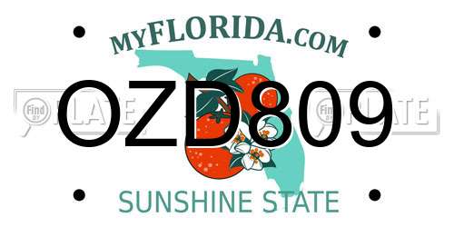 OZD809 Florida License Plate