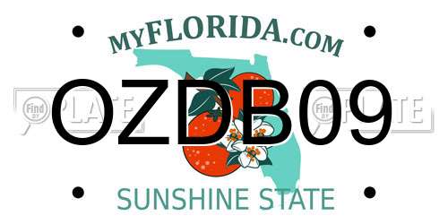 OZDB09 Florida License Plate