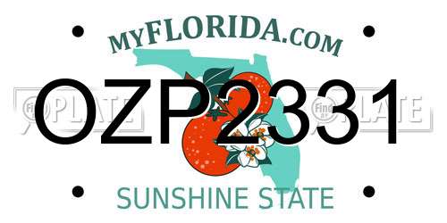 OZP2331 Florida License Plate