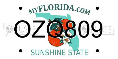 OZQ809 Florida License Plate
