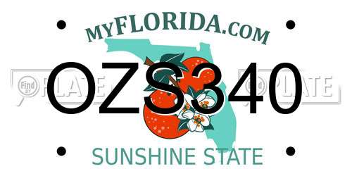 OZS340 Florida License Plate