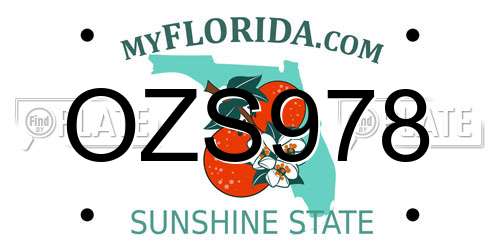 OZS978 Florida License Plate
