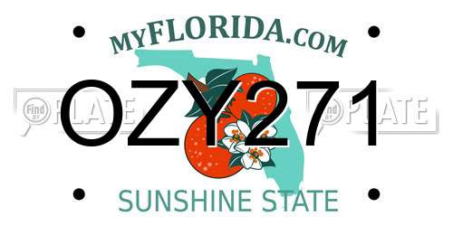 OZY271 Florida License Plate