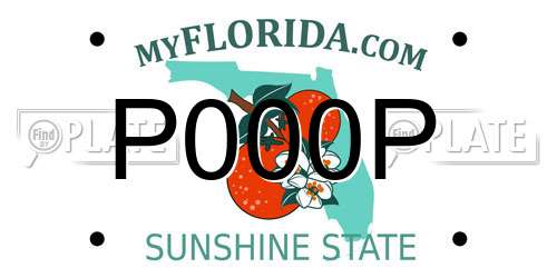 P000P Florida License Plate