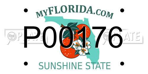 P00176 Florida License Plate