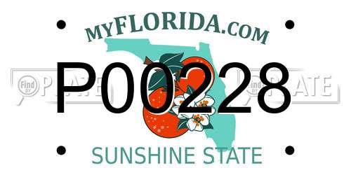 P00228 Florida License Plate