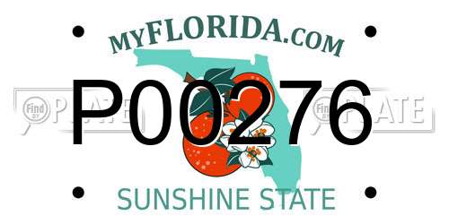 P00276 Florida License Plate