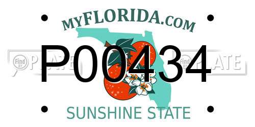 P00434 Florida License Plate