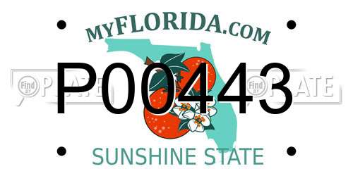 P00443 Florida License Plate