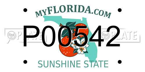 P00542 Florida License Plate