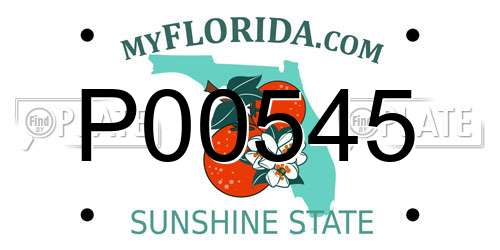 P00545 Florida License Plate